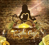 Tequila Cats